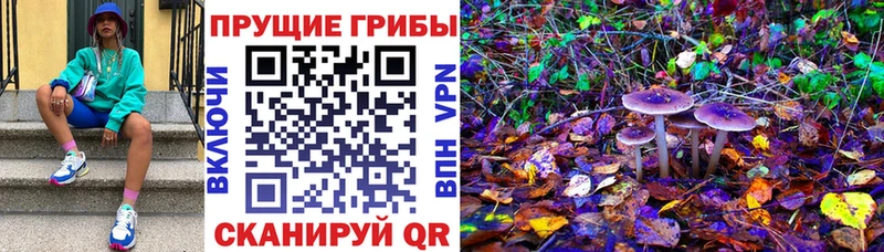 МЕГА ТОР Шимановск Галлюциногенные грибы Magic Shrooms